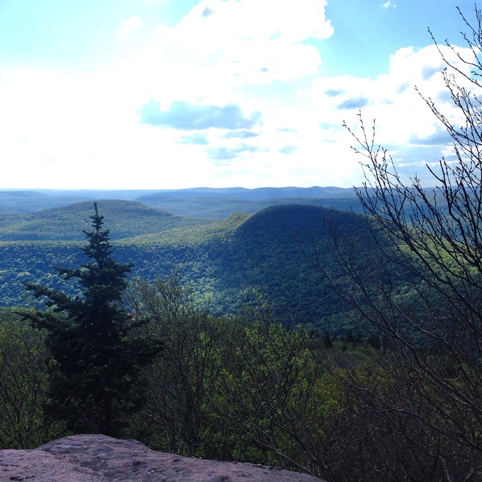 One of the beautiful viewpoints on Peekamoose Mountain that made the steep ascent worthwhile. Photo by Amy Sowder.